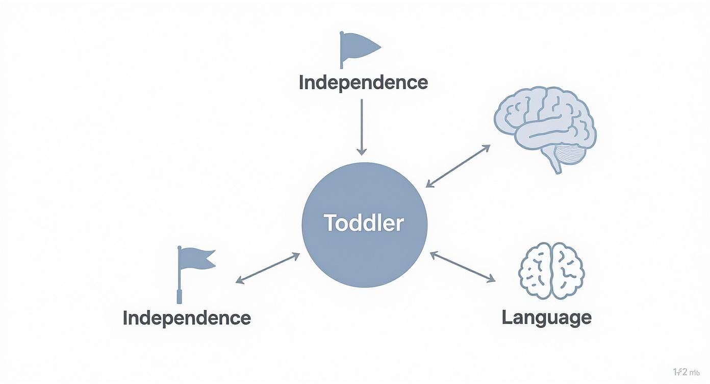 Infographic about behavior problems in toddlers