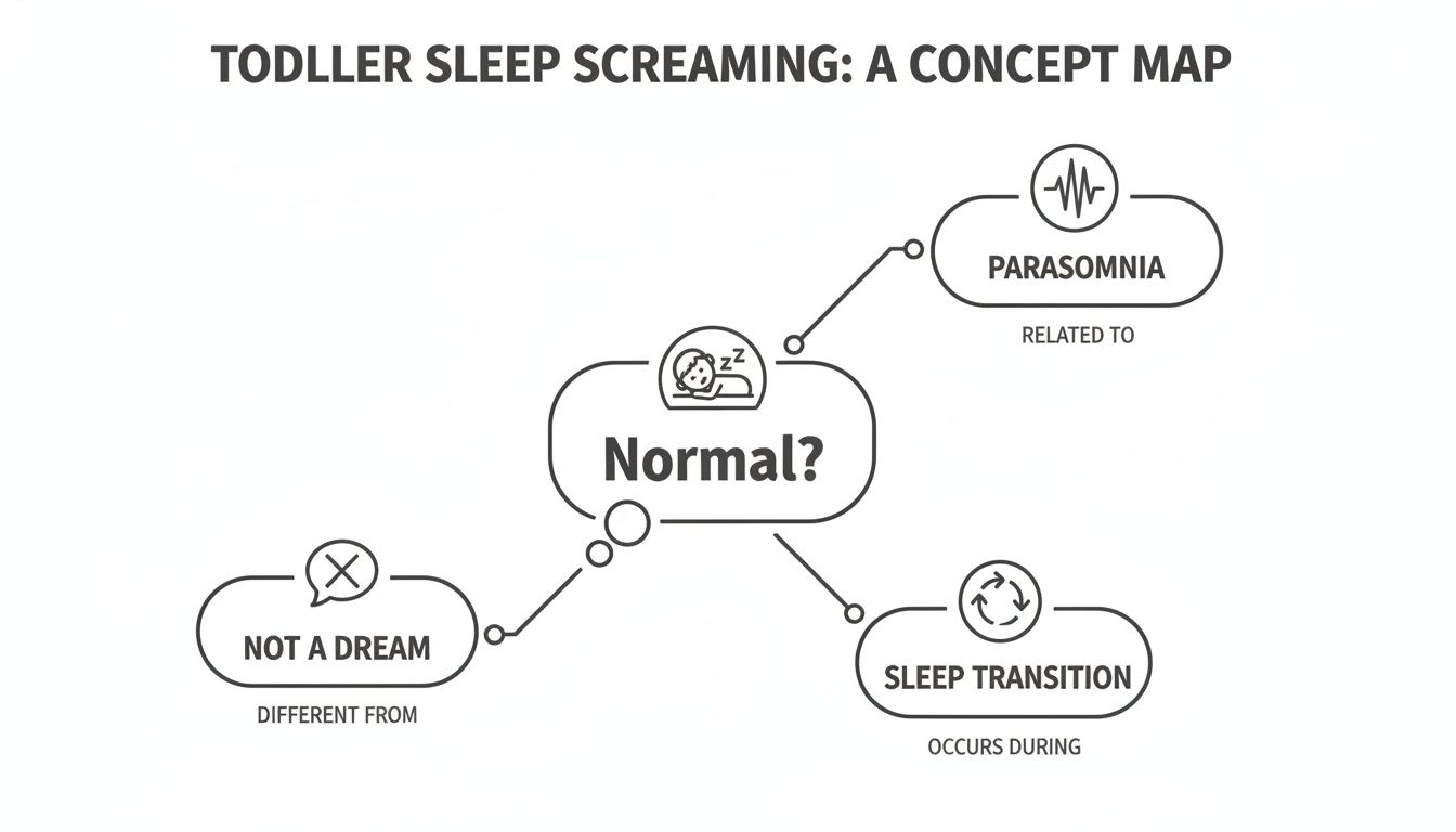 A concept map illustrating aspects of toddler sleep screaming, including if it's normal, parasomnia, and sleep transition.