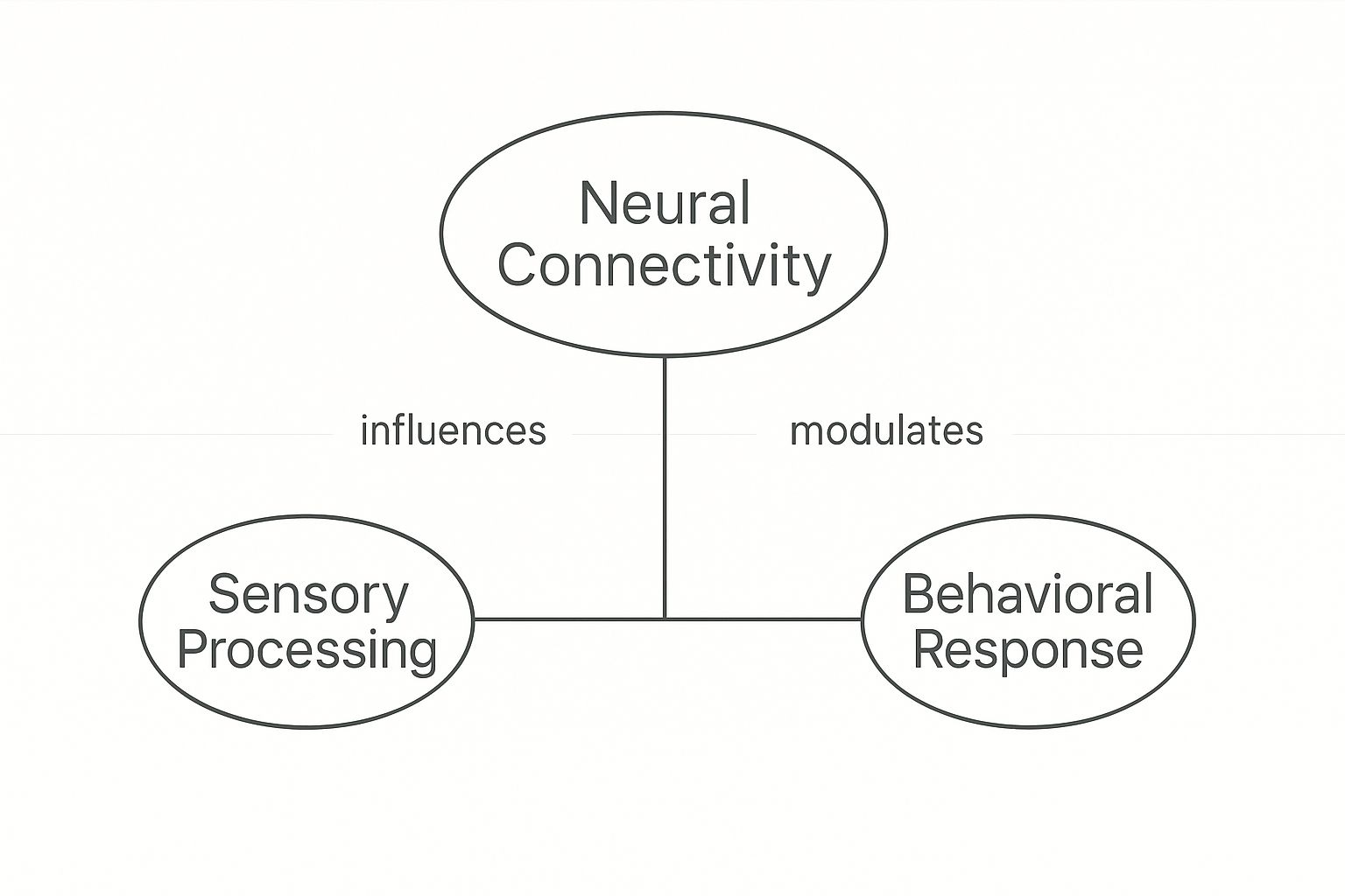 Infographic about autism nervous system