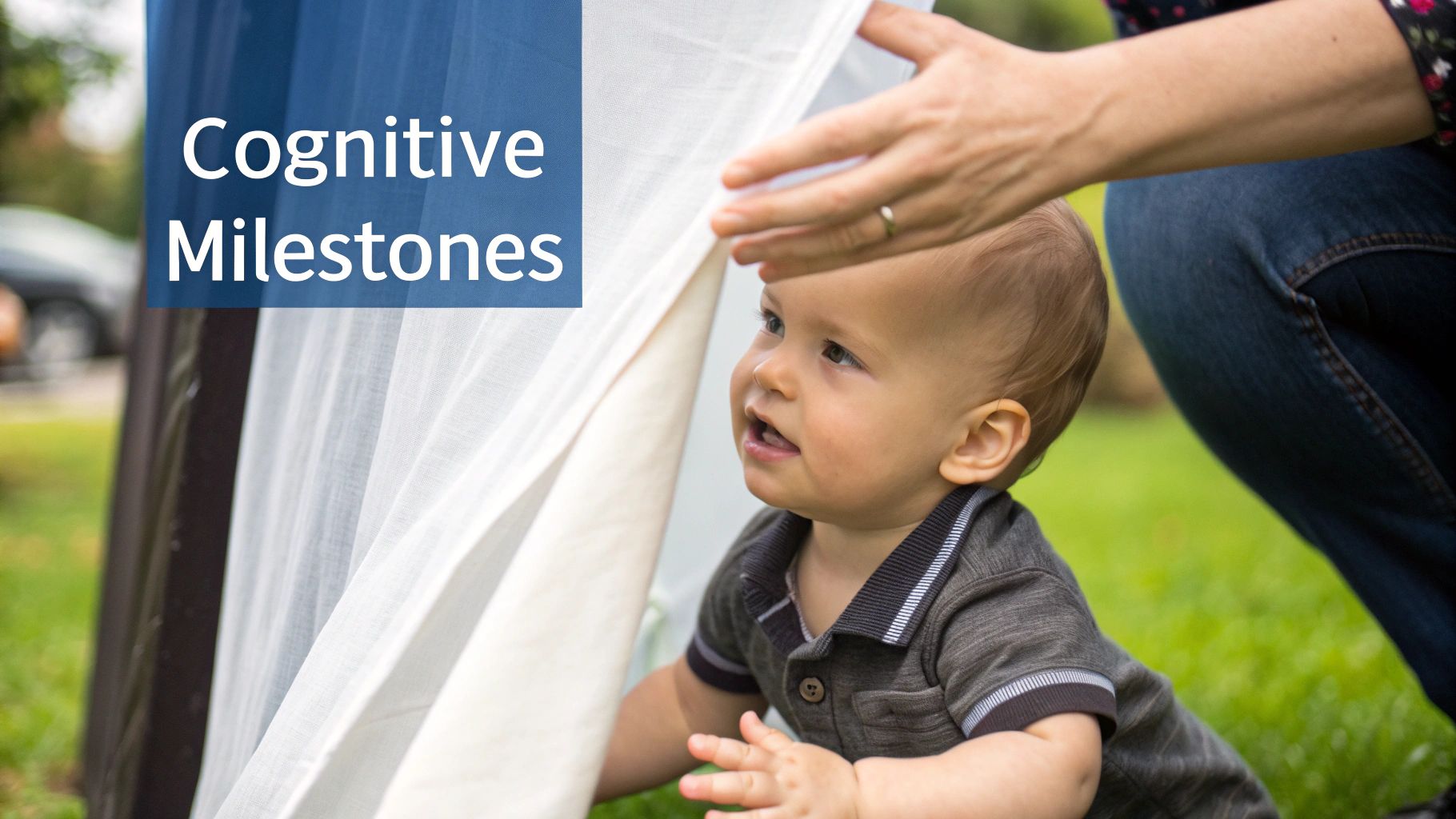 A baby playing peek-a-boo with their parent, demonstrating object permanence.