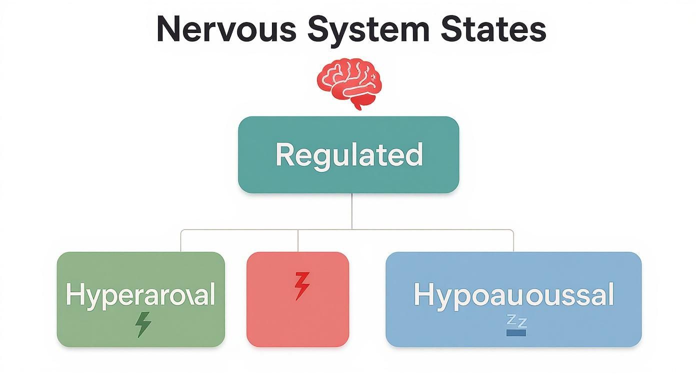 Infographic about dysregulated nervous system treatment