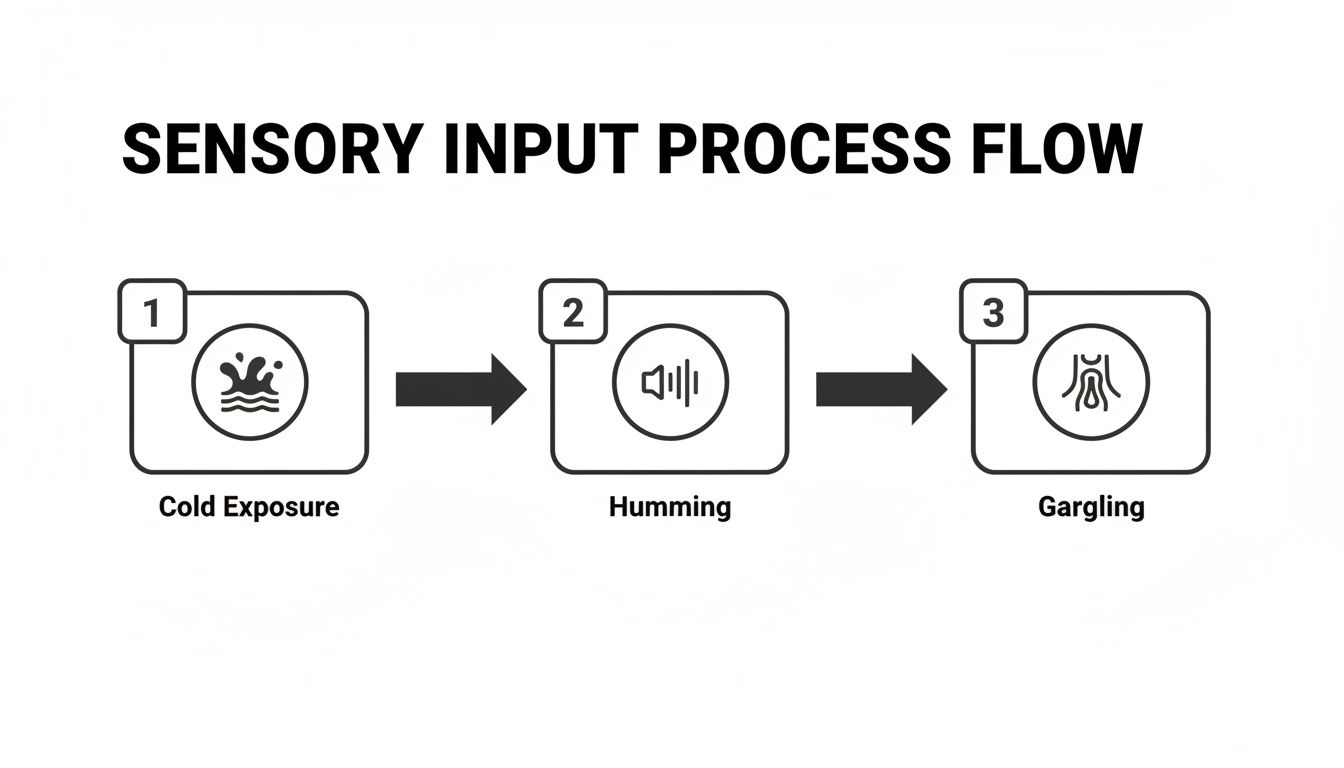 Diagram illustrating a sensory input process flow: cold exposure, humming, then gargling.
