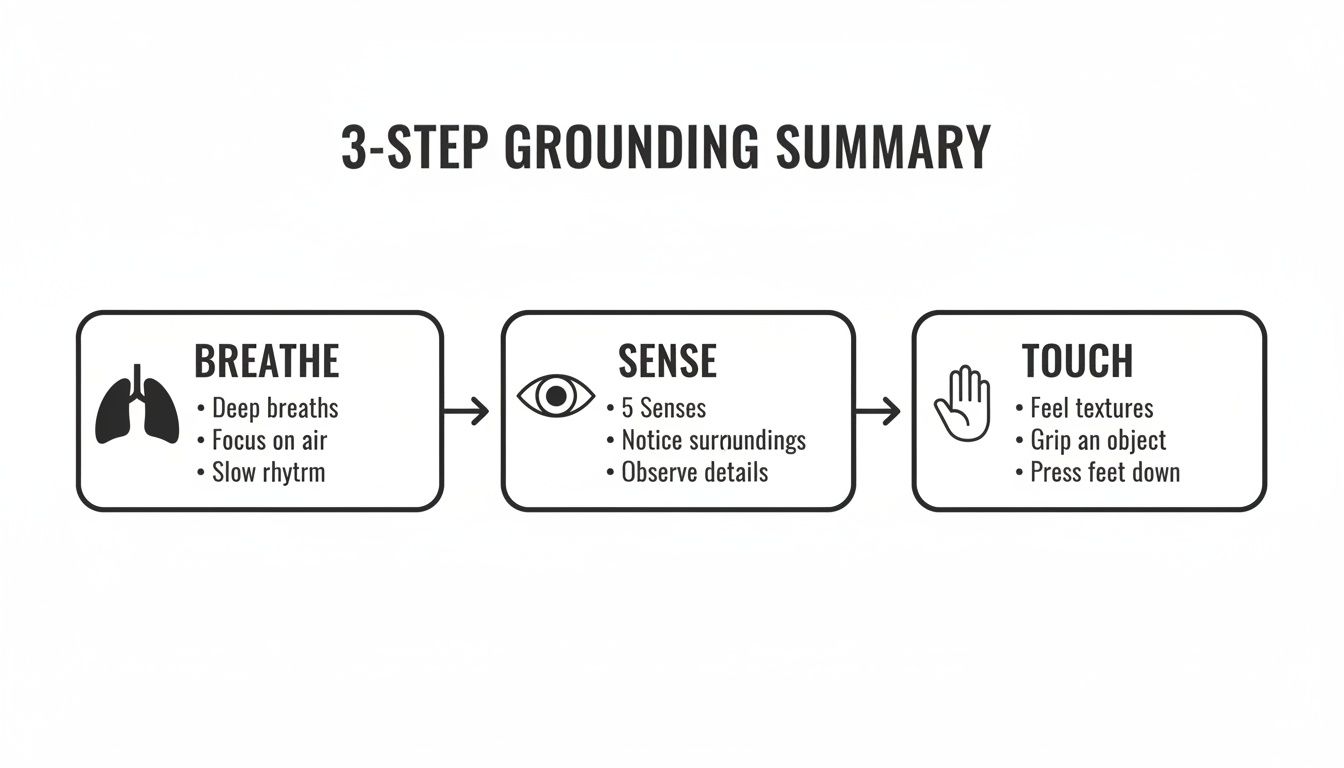 A diagram illustrating a 3-step grounding technique: Breathe, Sense, and Touch, for self-regulation.