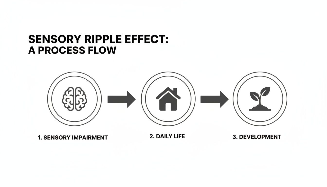 Diagram showing the sensory ripple effect: sensory impairment affecting daily life and development.