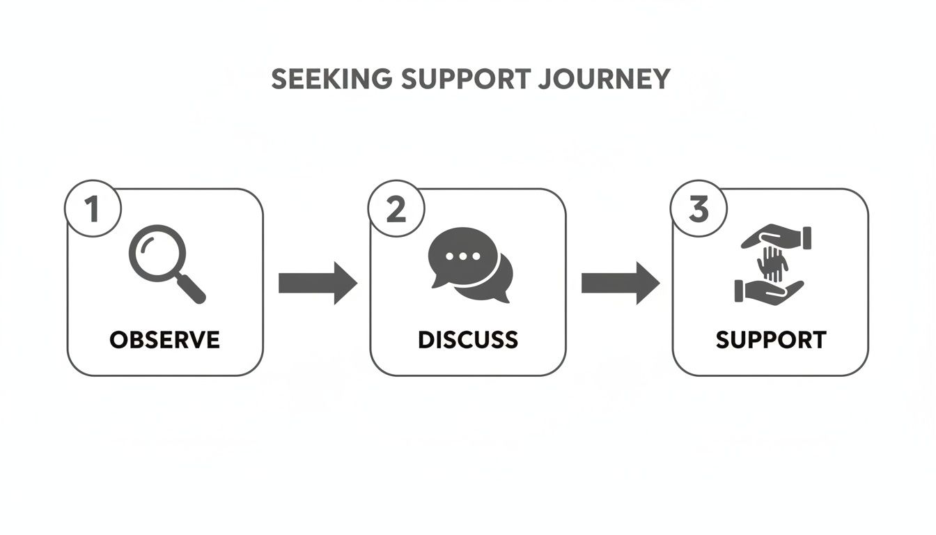 A three-step process: Observe, Discuss, and Support, illustrating a seeking support journey.