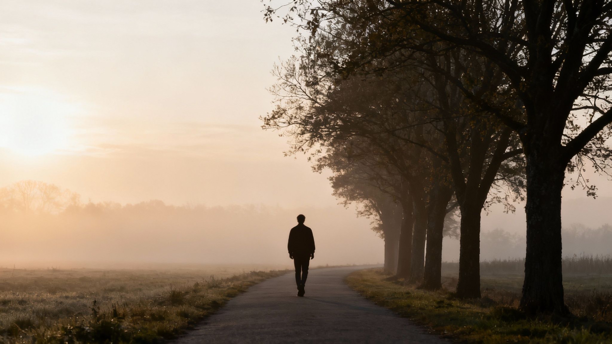 Personne marchant sur un chemin ensoleillé, symbolisant la reconstruction après le sevrage.