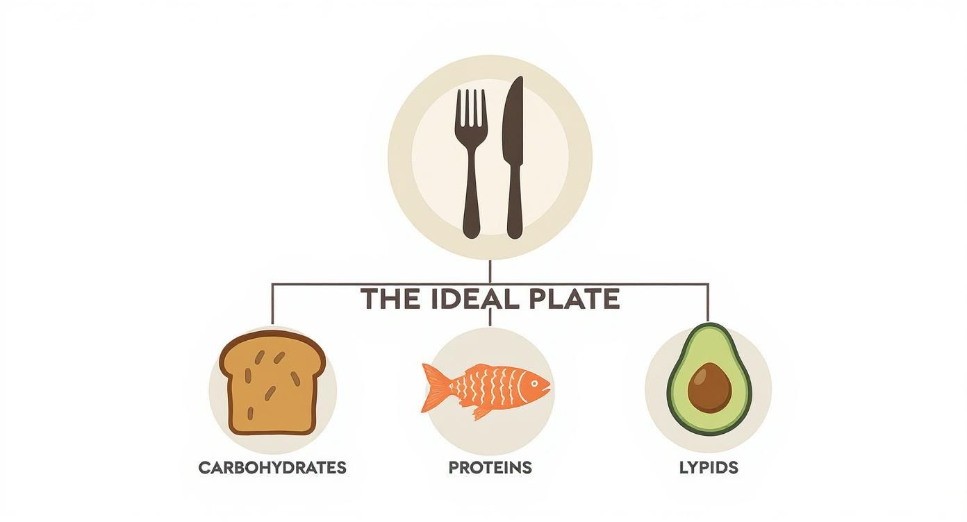Infographic about alimentation du diabétique