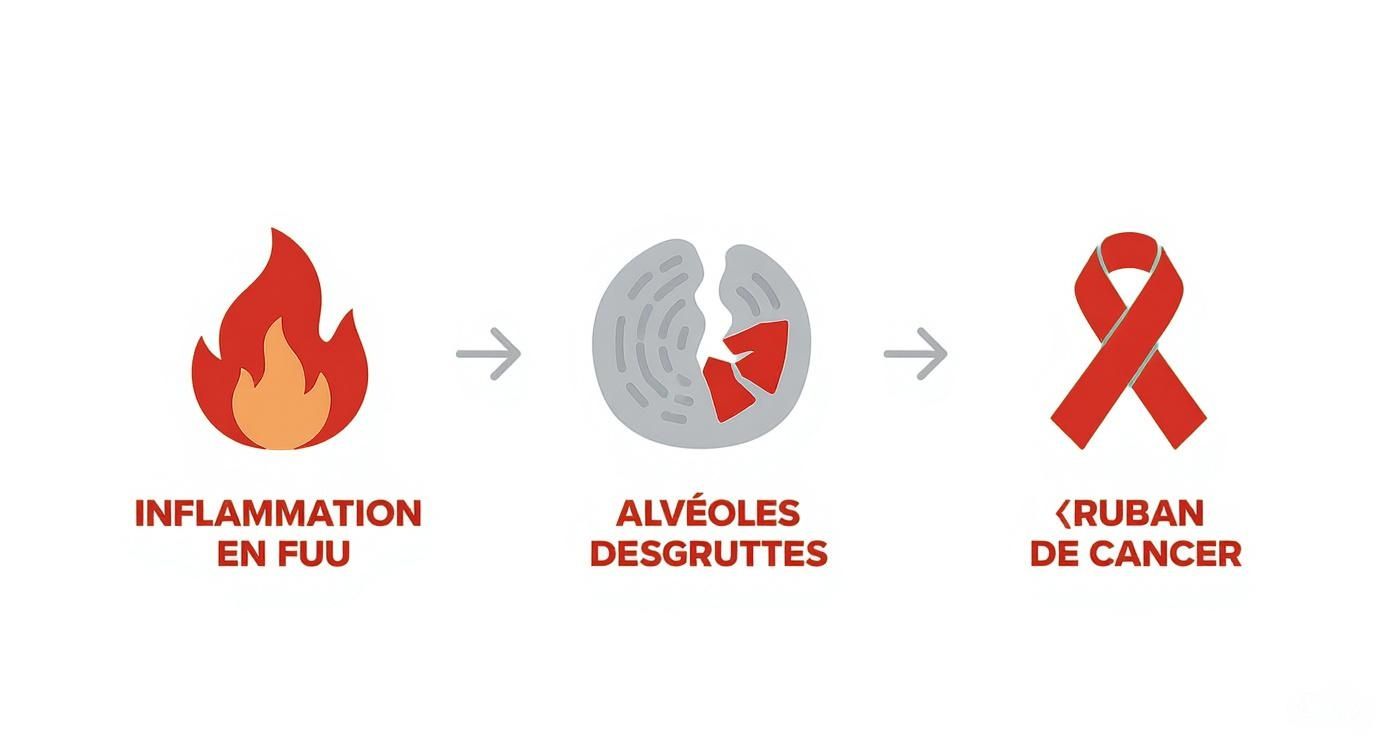 Illustration montrant la progression de l'inflammation aux alvéoles endommagées et au cancer du poumon.