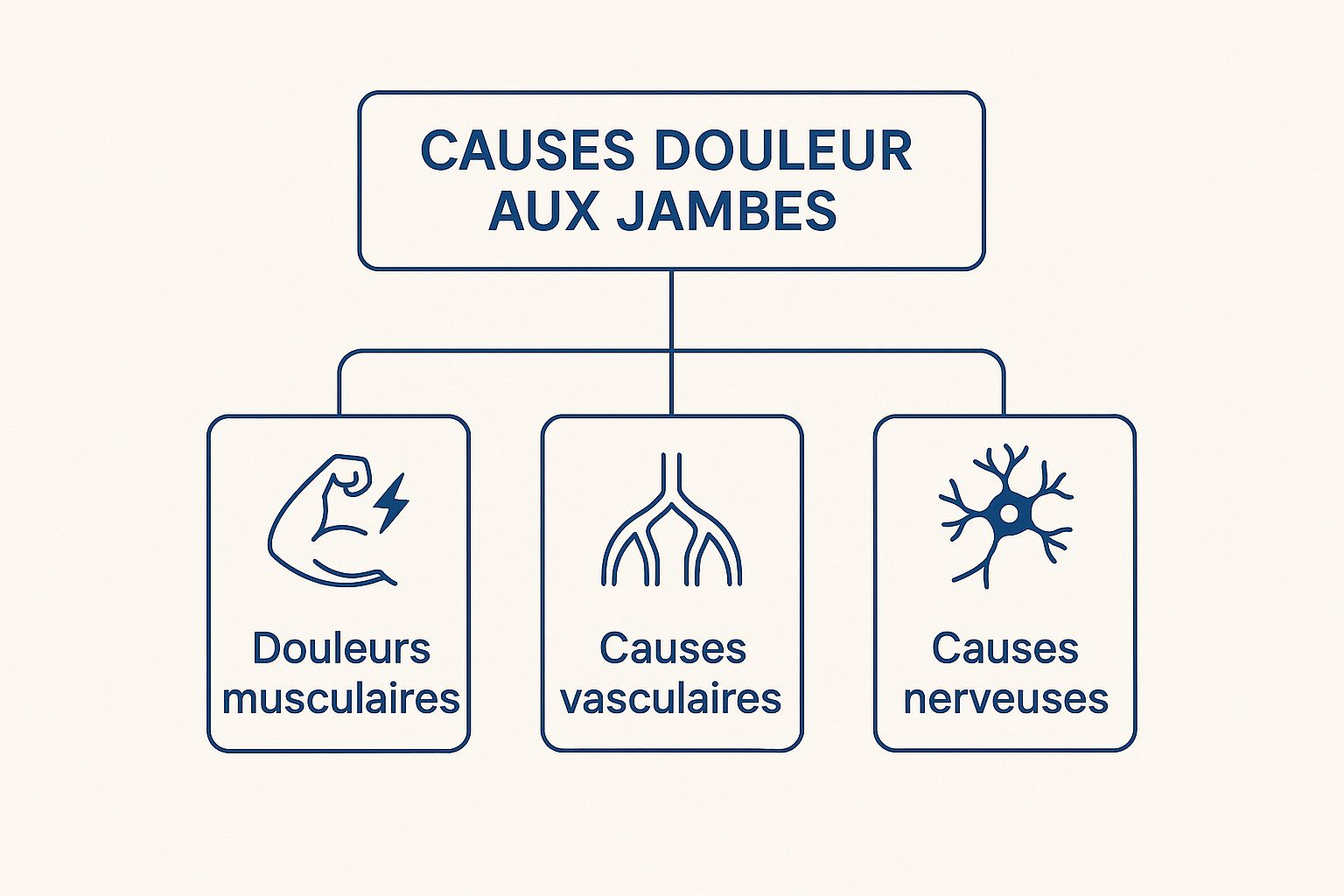 Infographie montrant les causes principales de la douleur aux jambes, divisées en douleurs musculaires, vasculaires et nerveuses.