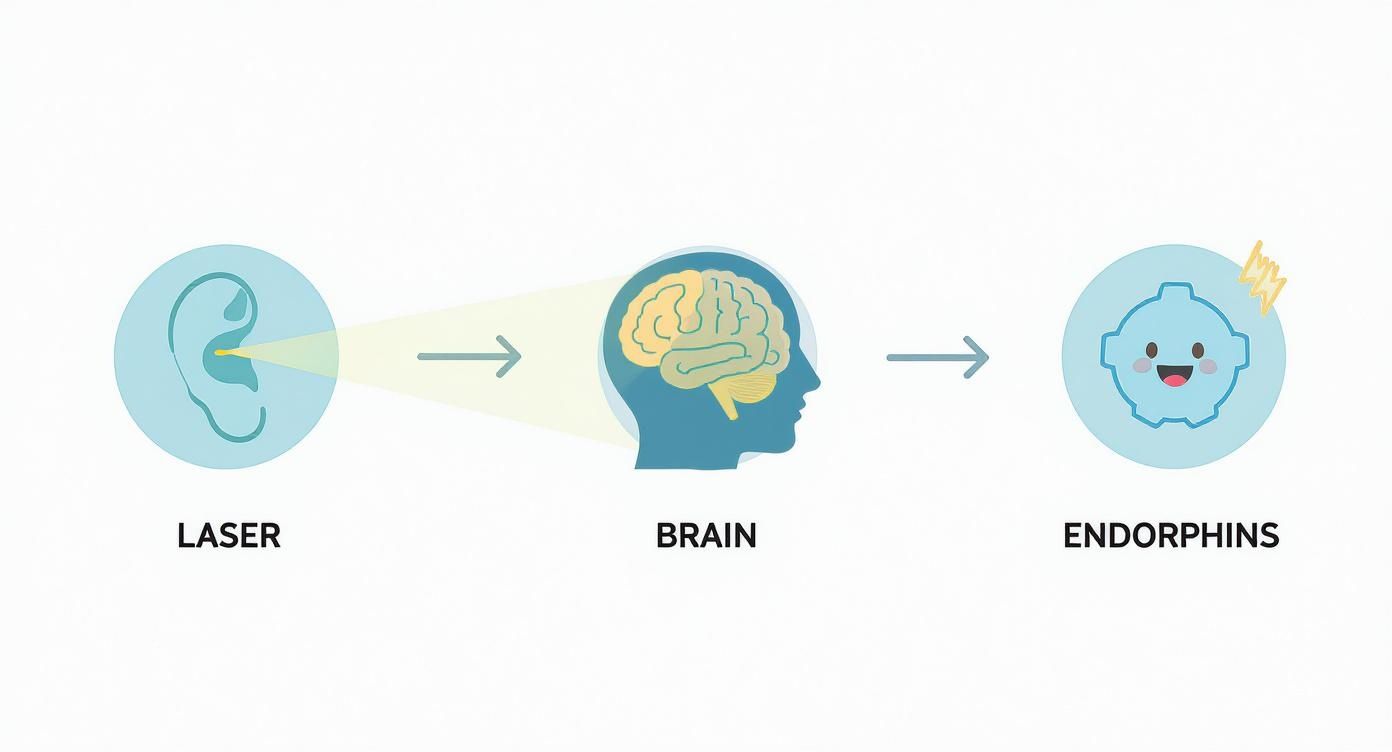 Infographic about laser anti tabac