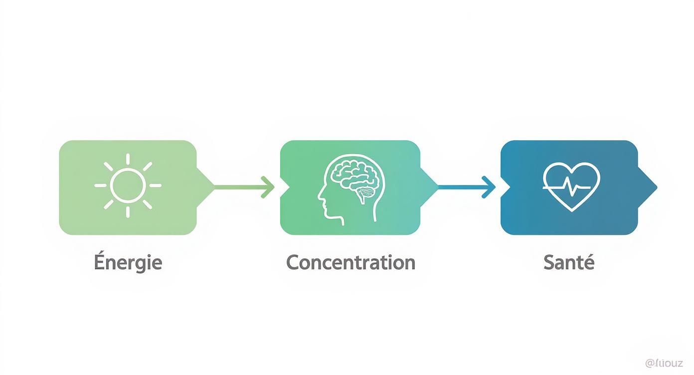 Infographic about alimentation sans sucre