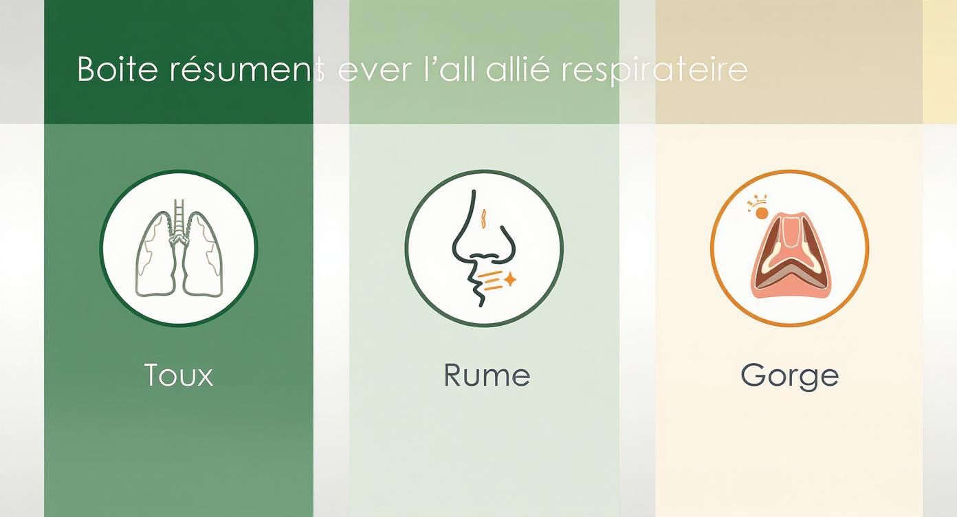 Infographic about bienfaits du thym