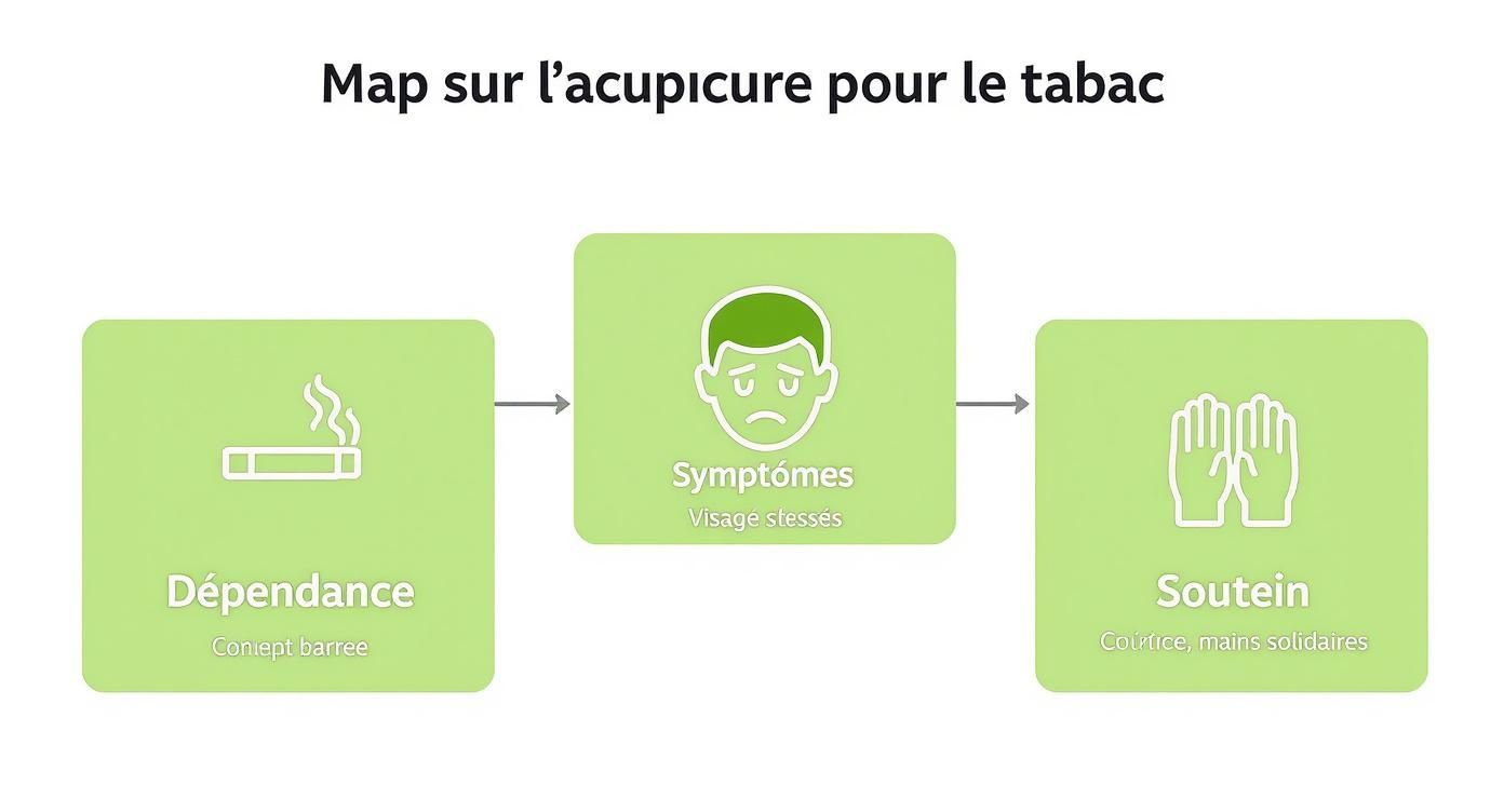 Infographie illustrant le rôle de l'acupuncture pour arrêter de fumer en agissant sur la dépendance, les symptômes et le soutien