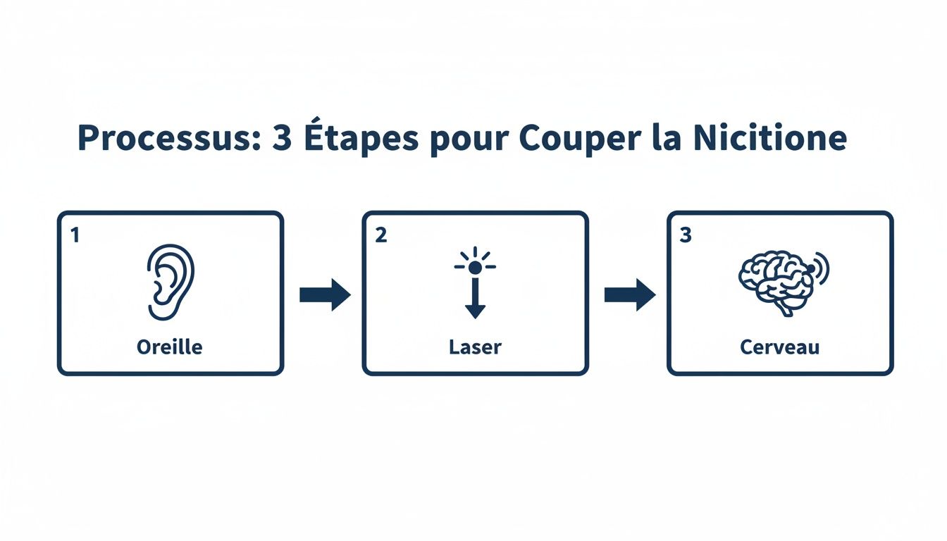 Arrêter de fumer en une séance est-ce vraiment possible 3 Diagramme du processus en 3 étapes pour couper la Nicitone: Oreille, Laser, Cerveau, représenté par des icônes.