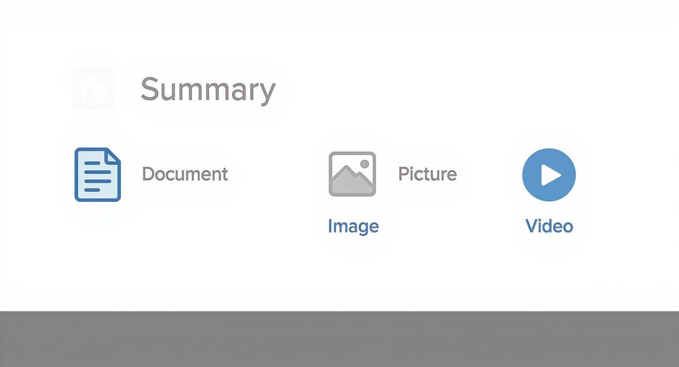 A user interface displaying a summary section with options for document, image, and video content types.