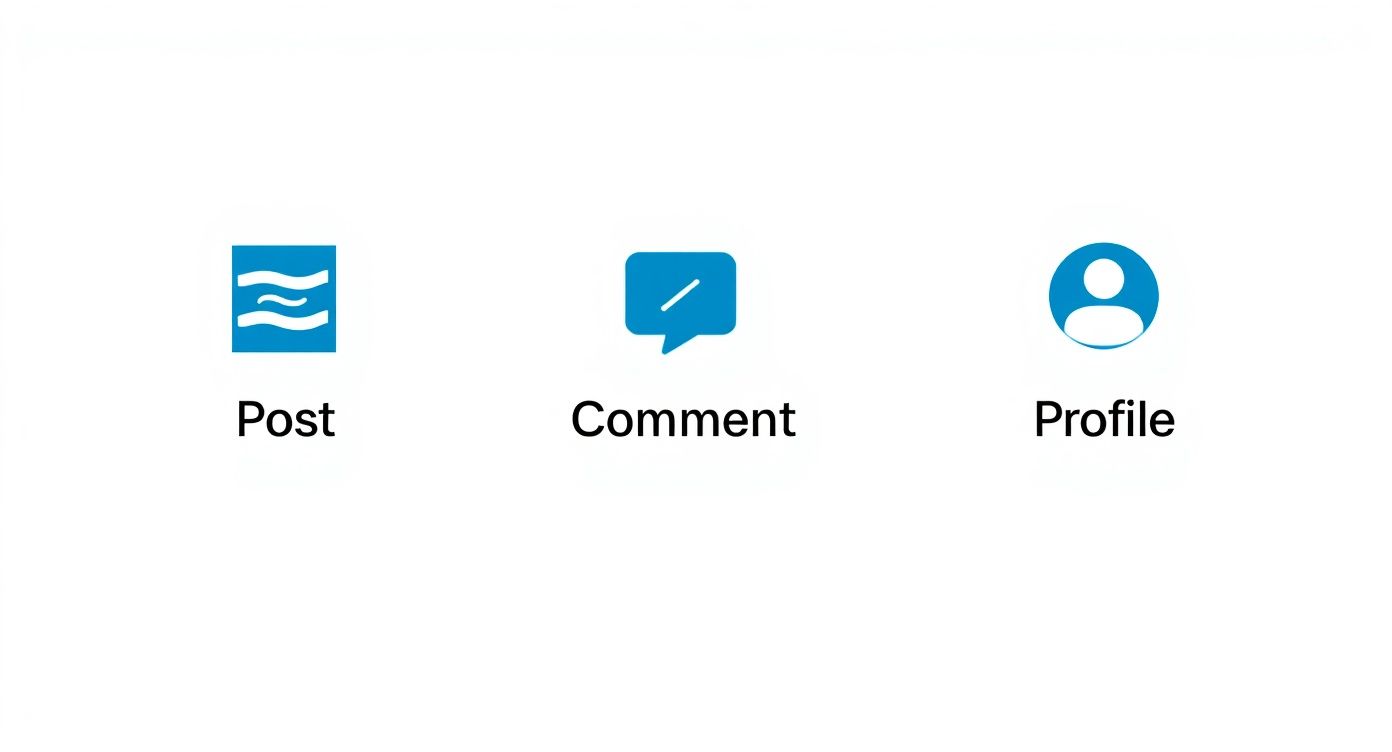 Infographic about character limit for linkedin posts
