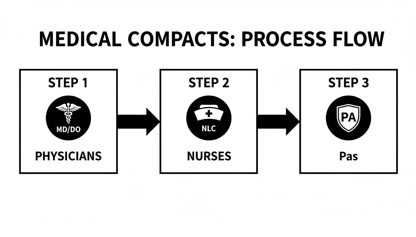 Flowchart illustrating the three-step process for medical compacts, involving physicians, nurses, and PAs.