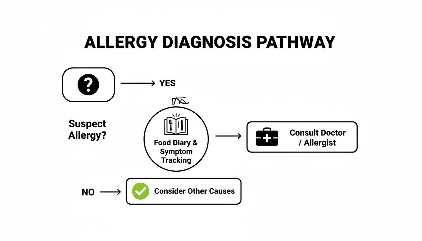 Flowchart illustrating the allergy diagnosis pathway, from suspecting an allergy to consulting a doctor.