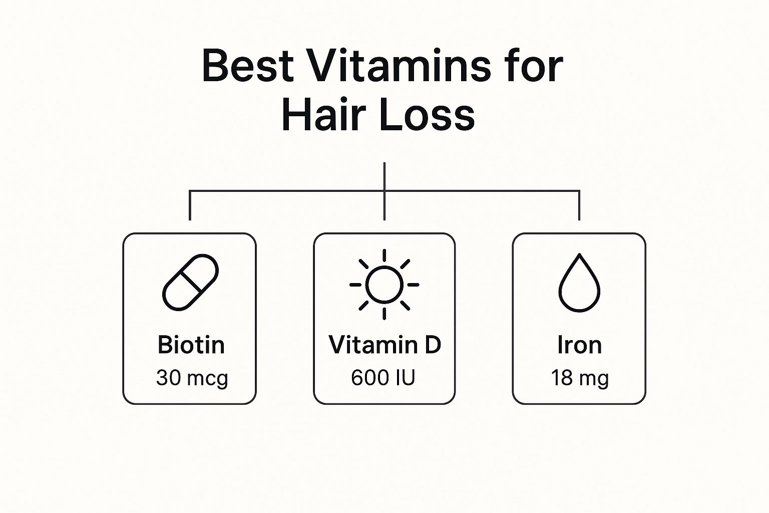 Infographic about best vitamins for hair loss