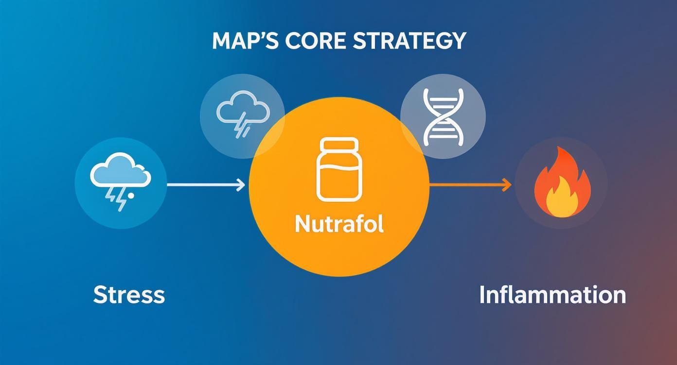 Infographic about does nutrafol really work