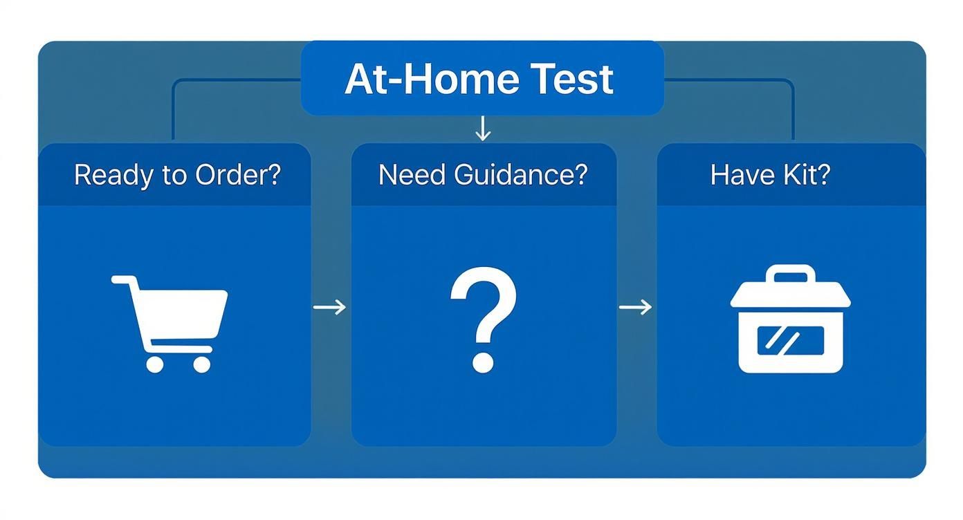 Infographic about food intolerance test at home