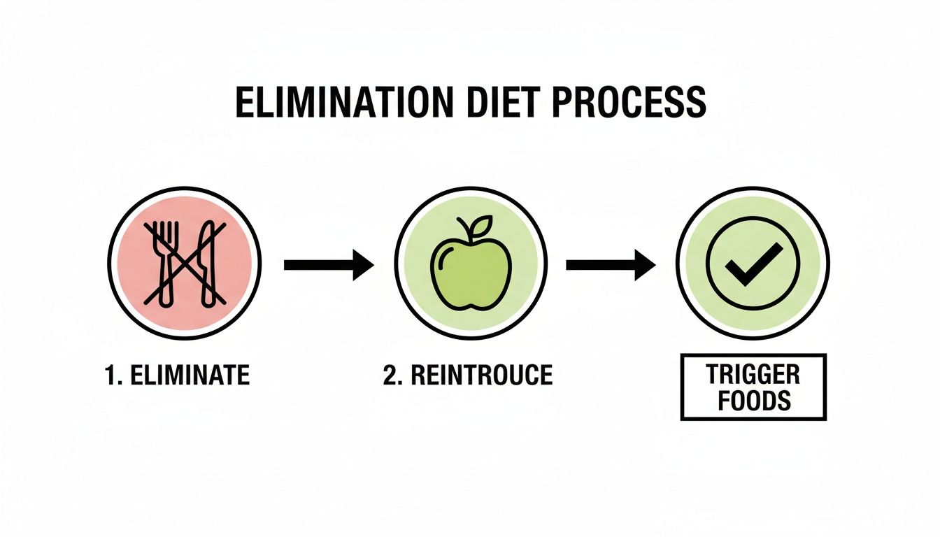 A diagram illustrating the three-step elimination diet process: eliminate, reintroduce, and identify trigger foods.