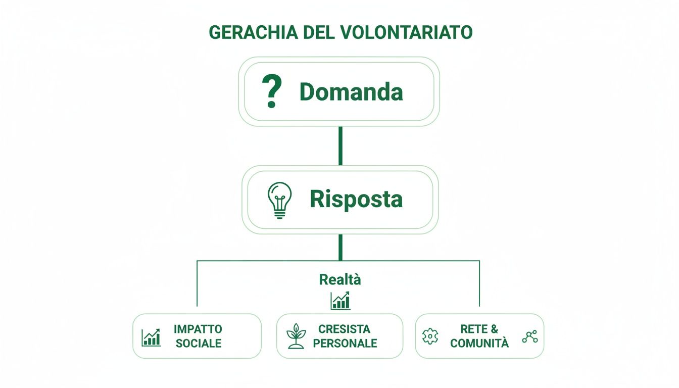 Schema gerarchico del volontariato con domanda, risposta e la realtà suddivisa in impatto sociale, crescita personale e comunità.