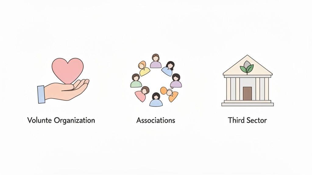 Illustrazione che mostra una mano con un cuore, persone in cerchio e un edificio, rappresentando organizzazioni di volontariato, associazioni e il terzo settore.