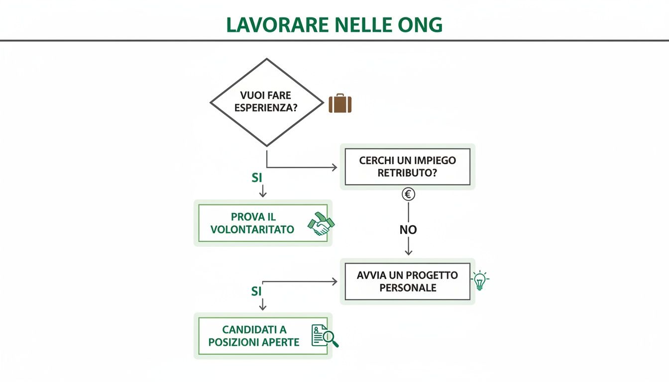 Diagramma di flusso su come iniziare a lavorare nelle ONG, esplorando volontariato, impiego retribuito o progetti personali.
