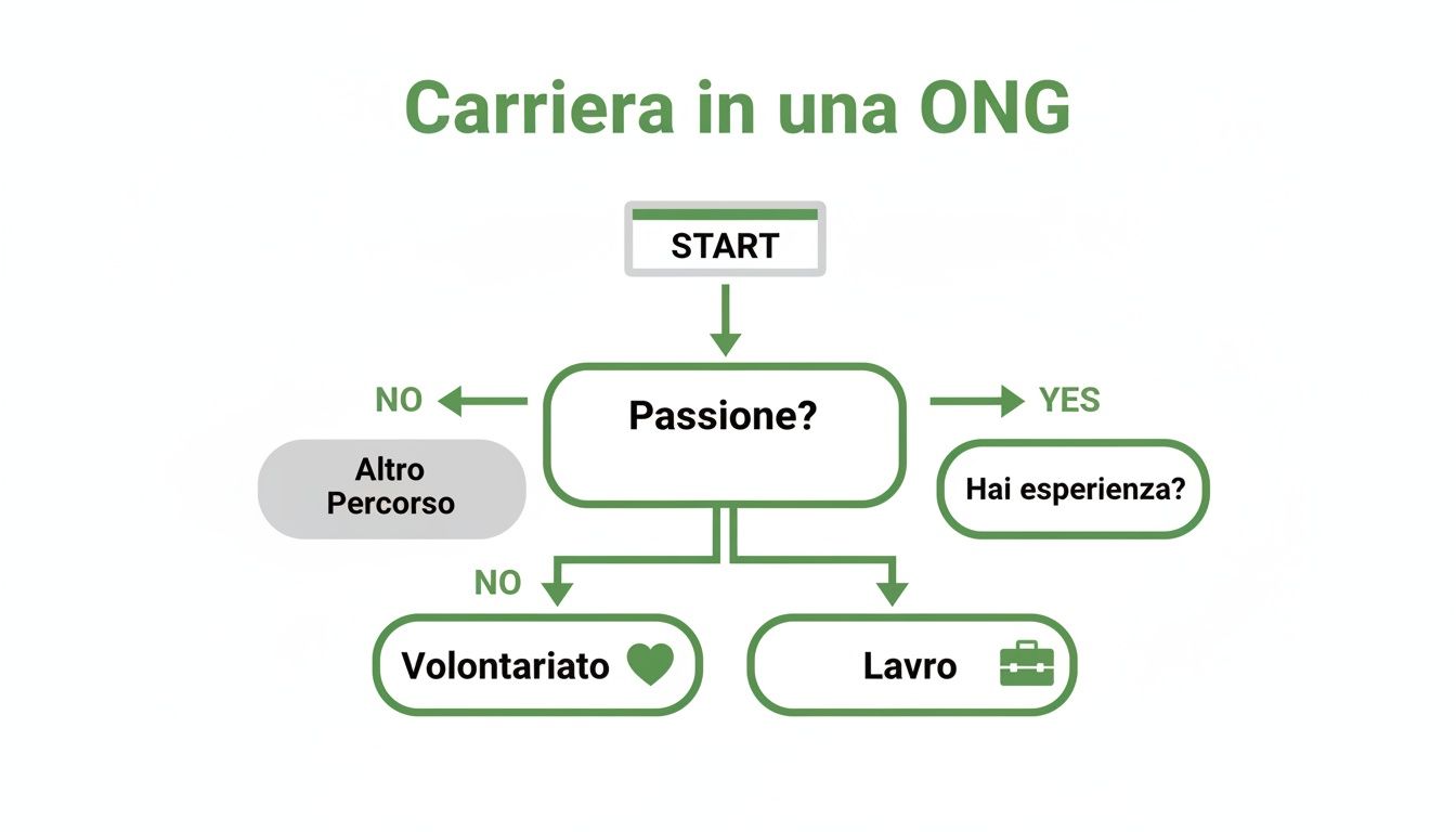 Diagramma di flusso che illustra il percorso di carriera in una ONG, partendo da passione, esperienza, volontariato o lavoro.