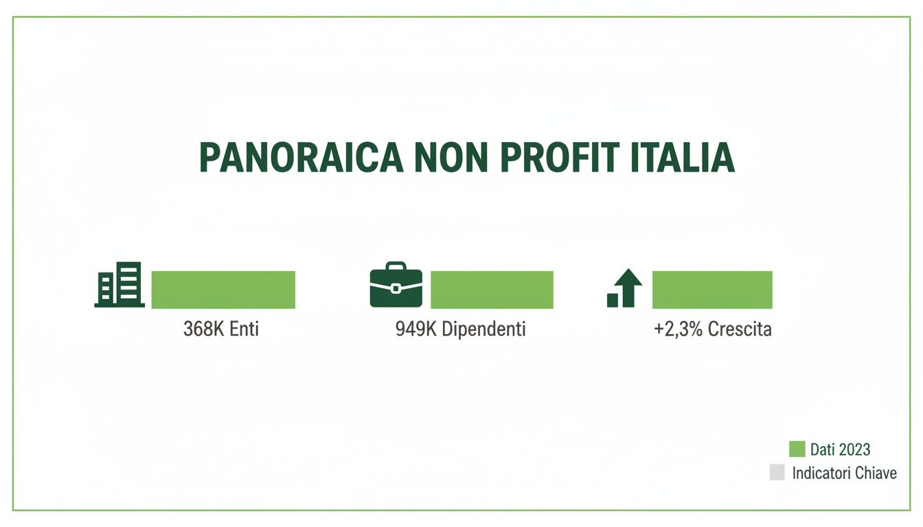 Infografica con i dati chiave 2023 del settore non profit italiano: enti, dipendenti e crescita.