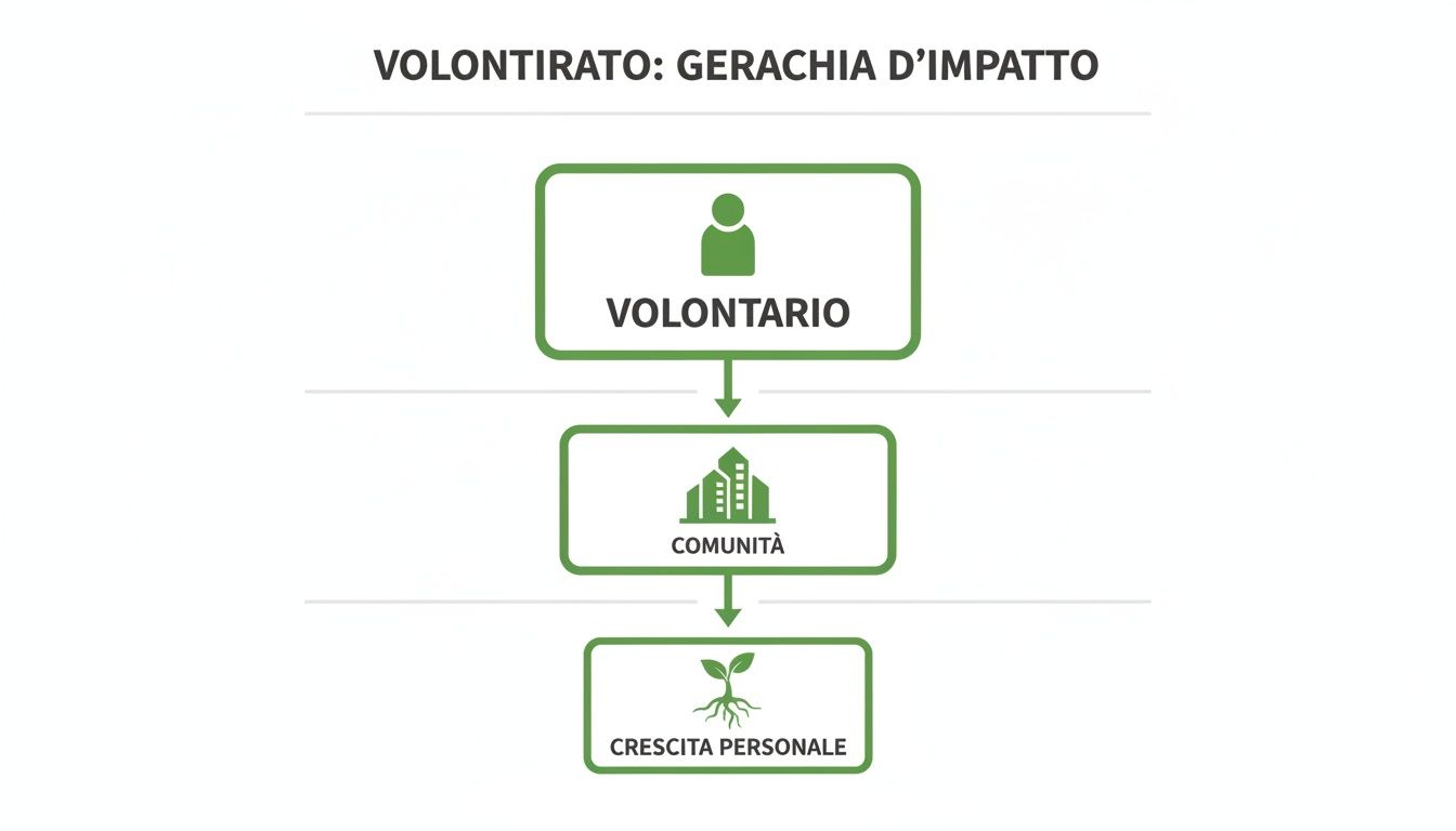Schema che illustra la gerarchia d'impatto del volontariato, mostrando il percorso dal volontario alla comunità e alla crescita personale.