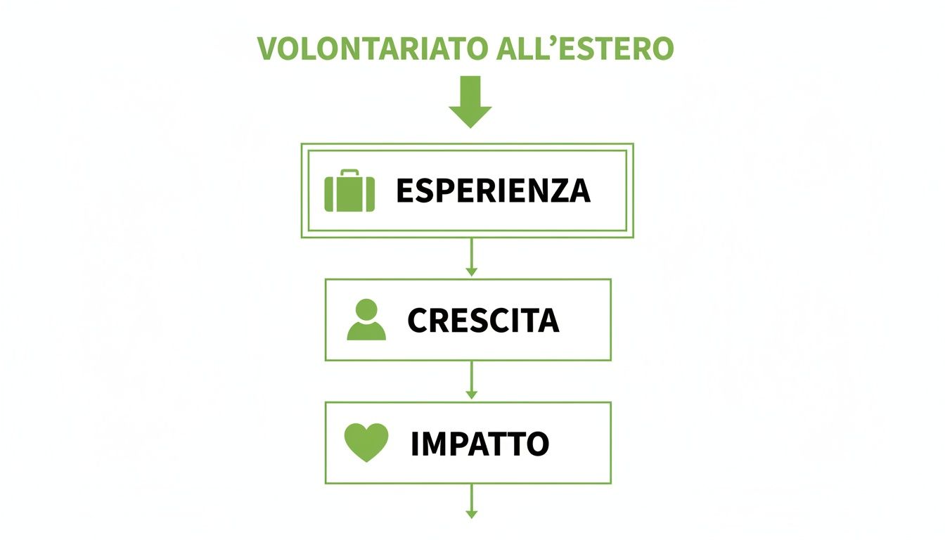 Diagramma che illustra il percorso del volontariato all'estero, mostrando esperienza, crescita e impatto.