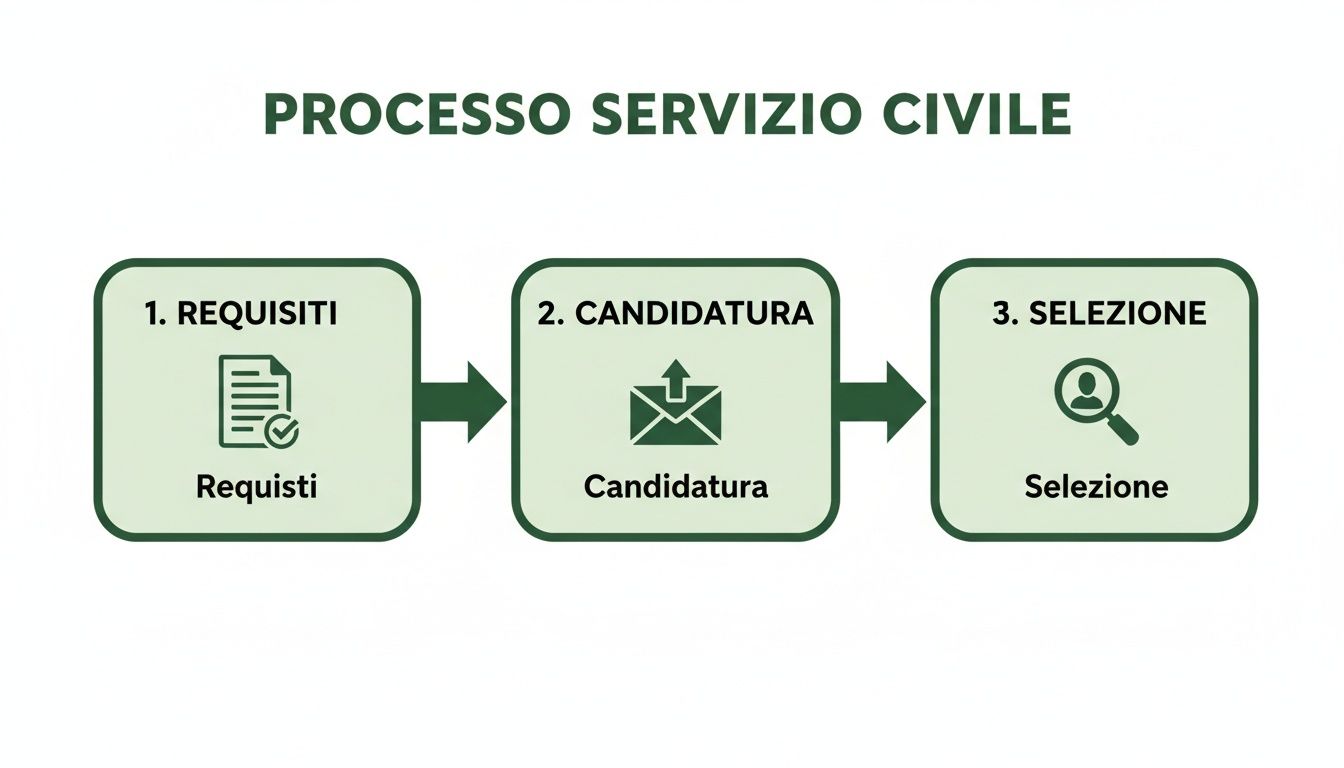 Diagramma che illustra il processo del Servizio Civile, con tre fasi: Requisiti, Candidatura e Selezione.