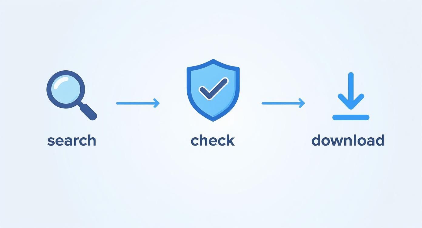 Infographic about after effects intro templates free