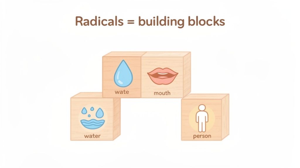 Illustration showing Chinese radicals as building blocks with symbols for water, mouth, and person.