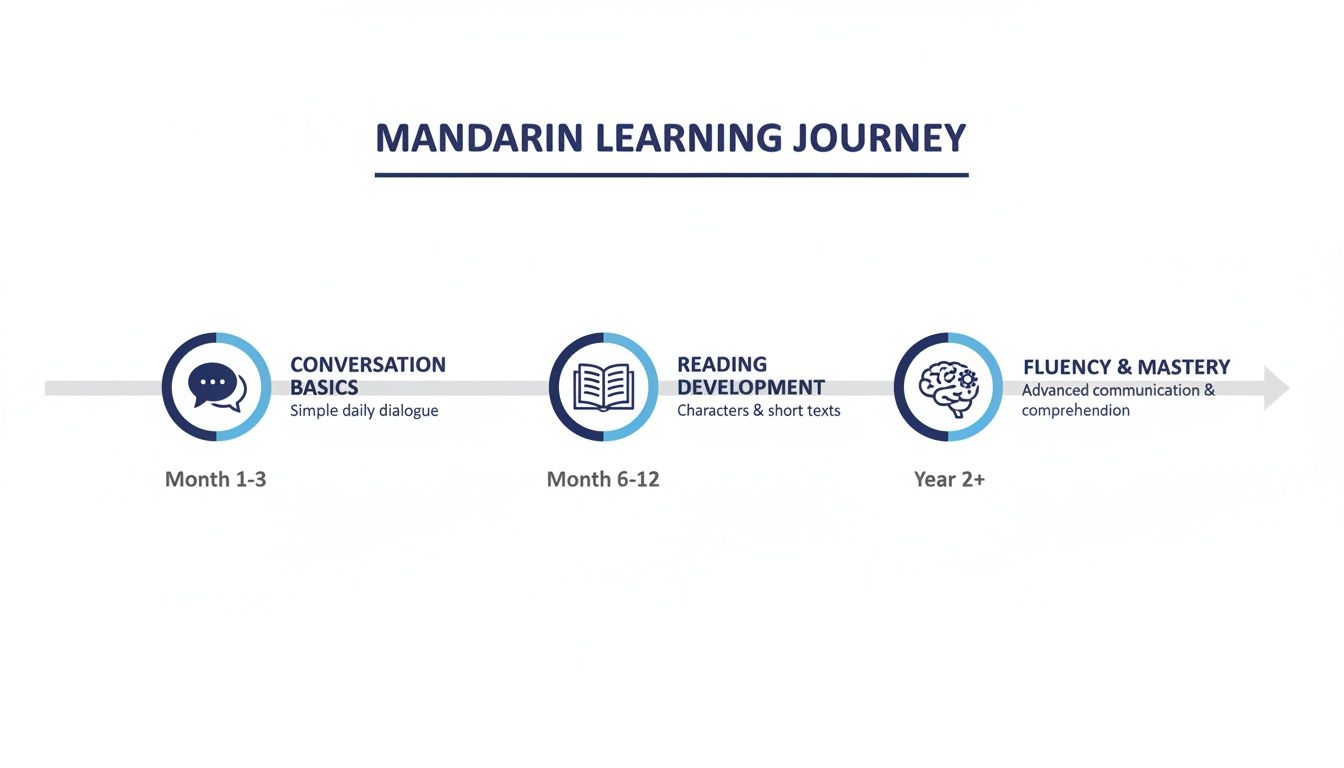Infographic showing the Mandarin learning journey with three stages: Conversation, Reading, and Fluency.