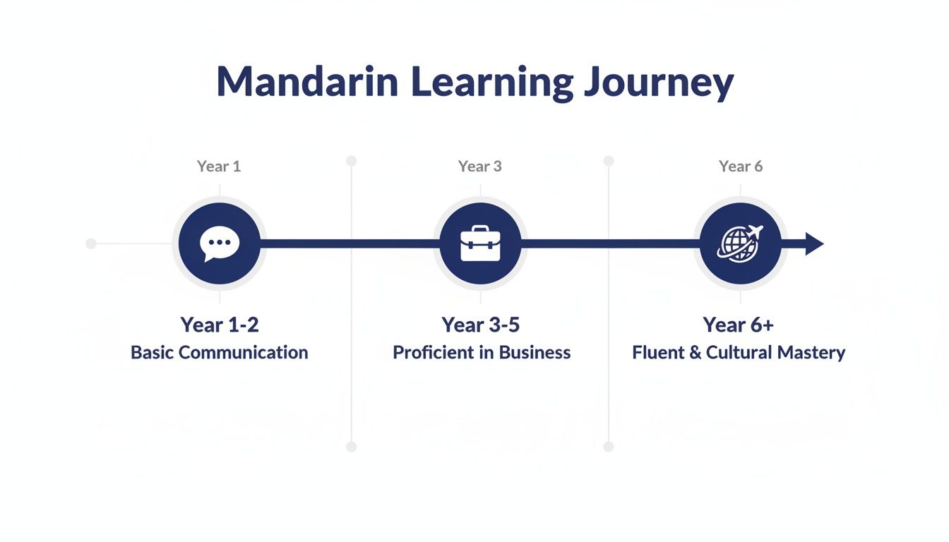 Mandarin learning journey timeline showing stages from basic communication to cultural mastery.