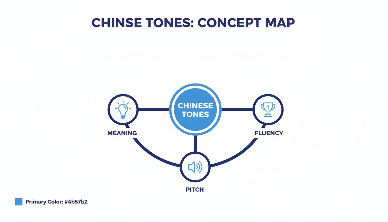 A concept map showing 'Chinese Tones' at the center, connected to 'Meaning', 'Fluency', and 'Pitch'.