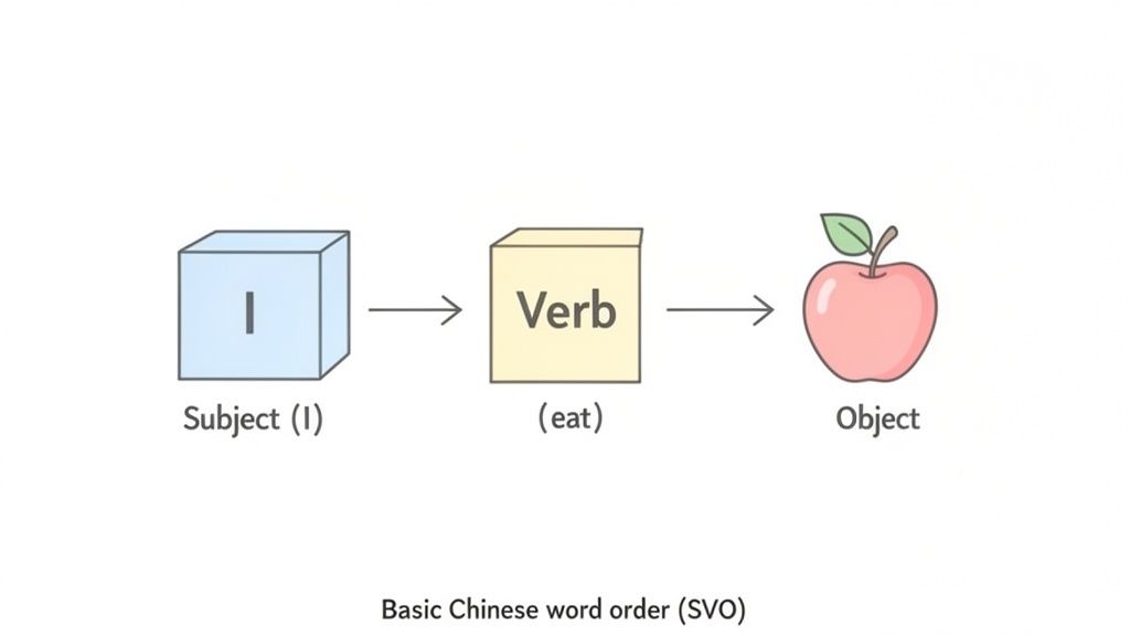 A diagram illustrates basic Chinese word order, showing Subject (I), Verb (eat), and Object (apple) arranged sequentially.