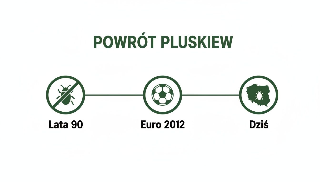 Skąd się biorą pluskwy w domu i jak je zwalczyć Oś czasu pokazująca powrót pluskiew w Polsce od lat 90. przez Euro 2012 do dziś.