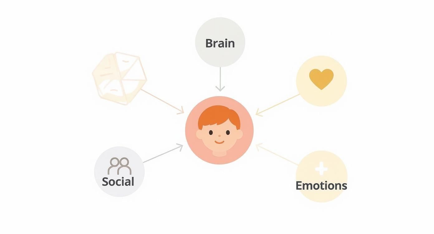 An infographic showing how a child's brain, social skills, emotions, and imagination are interconnected.