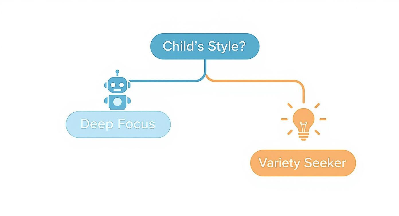 Infographic about best science kits for 10 year olds