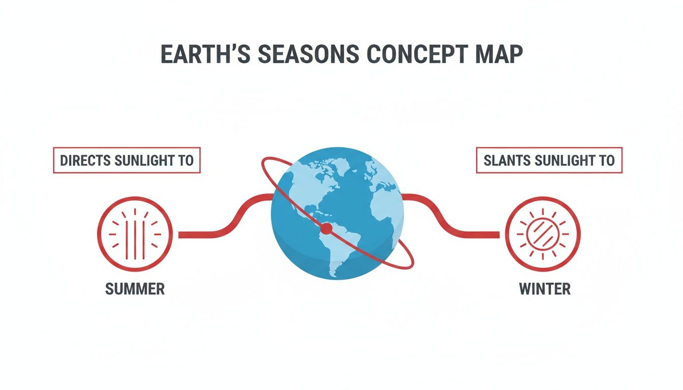 Concept map illustrating Earth's seasons: direct sunlight causes summer, while slanted sunlight causes winter.