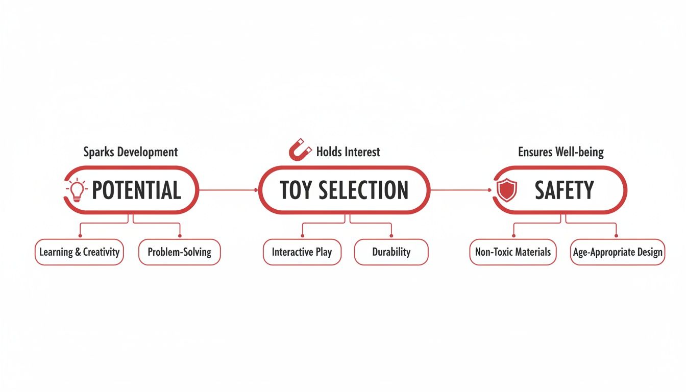 A flowchart illustrating key criteria for selecting toys: potential, interest, and safety, with sub-points.
