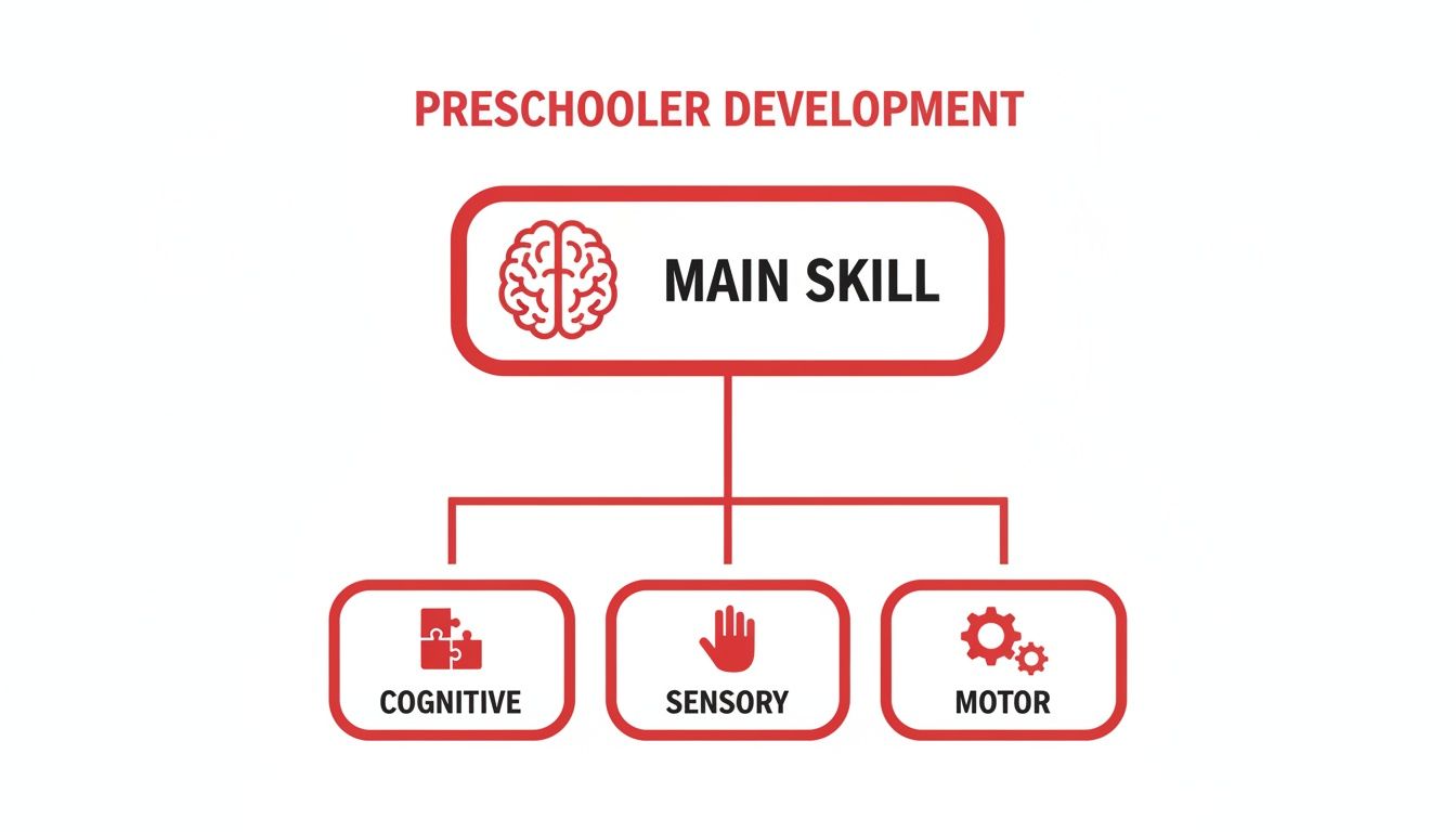Diagram illustrating preschooler development, outlining main skills such as cognitive, sensory, and motor abilities.