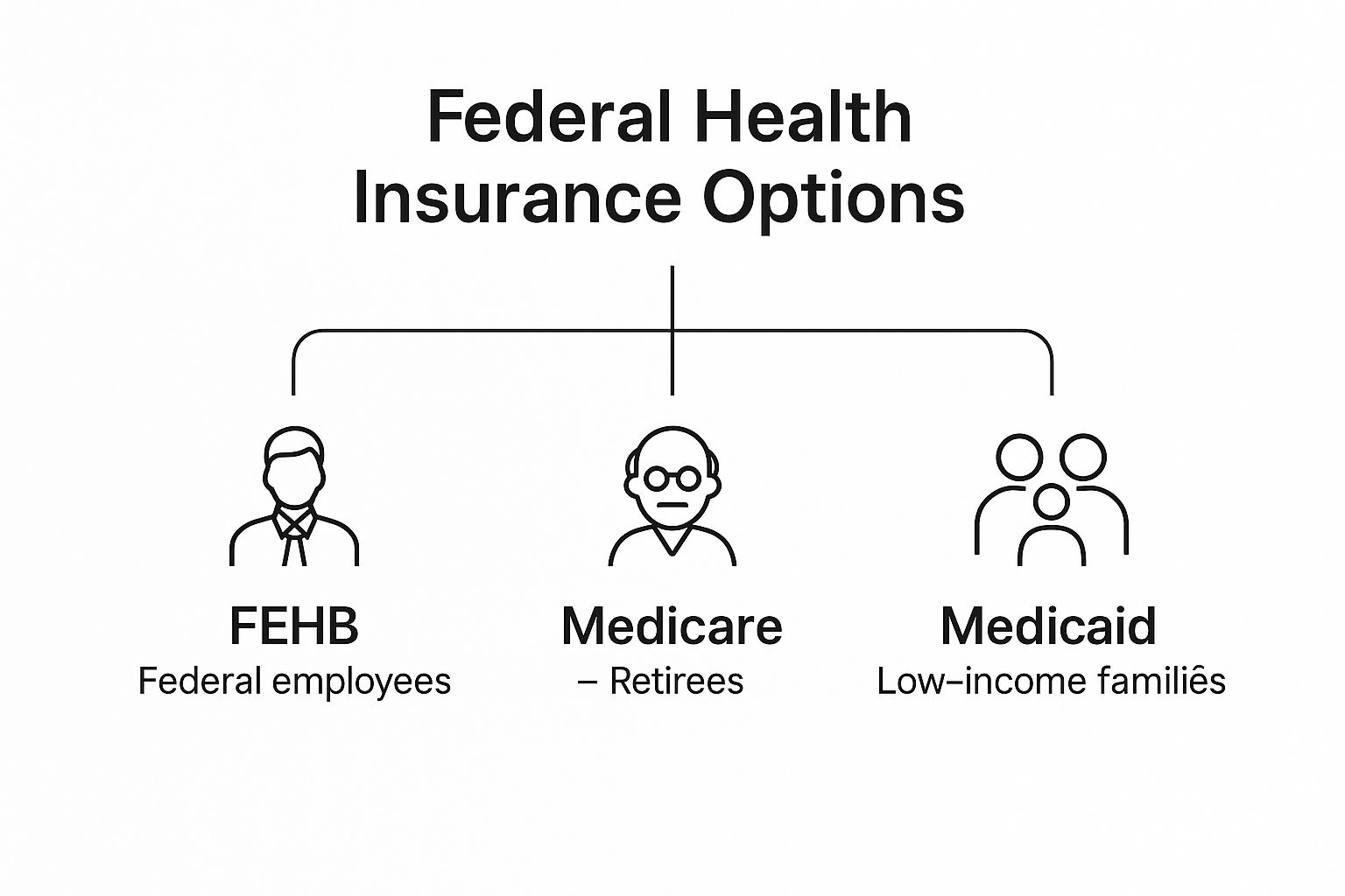 Infographic about federal health insurance options