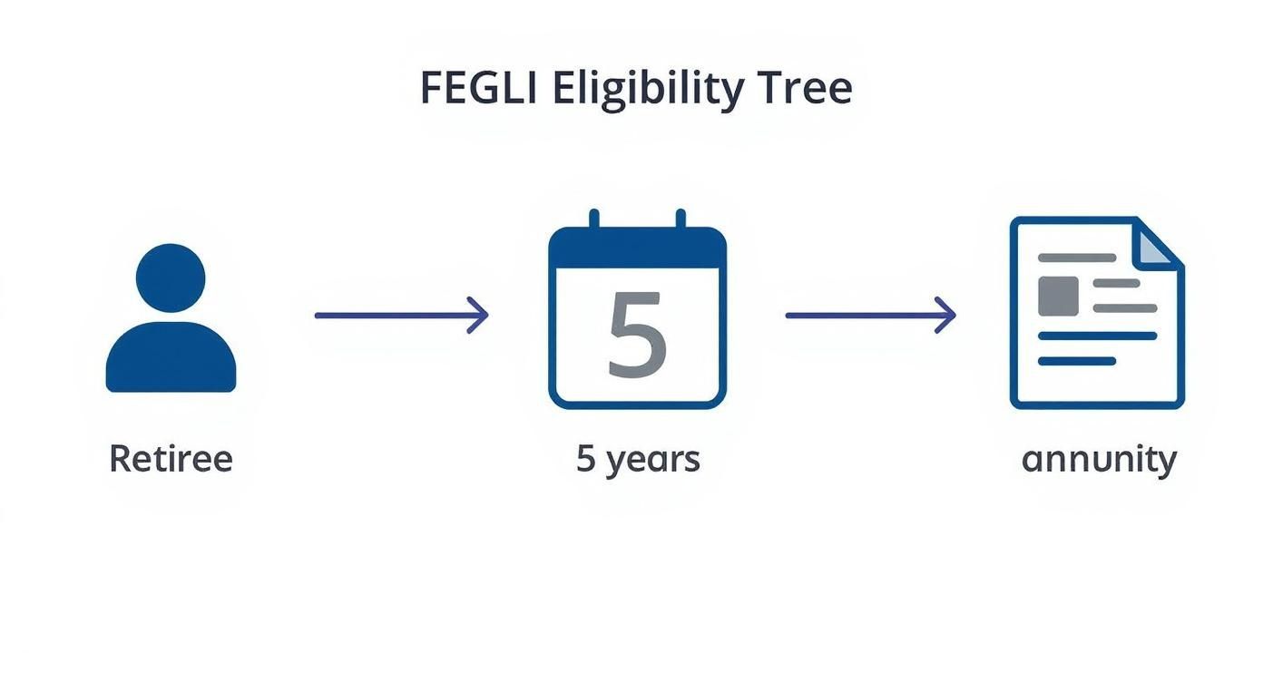Infographic about federal employee life insurance after retirement Infographic about federal employee life insurance after retirement