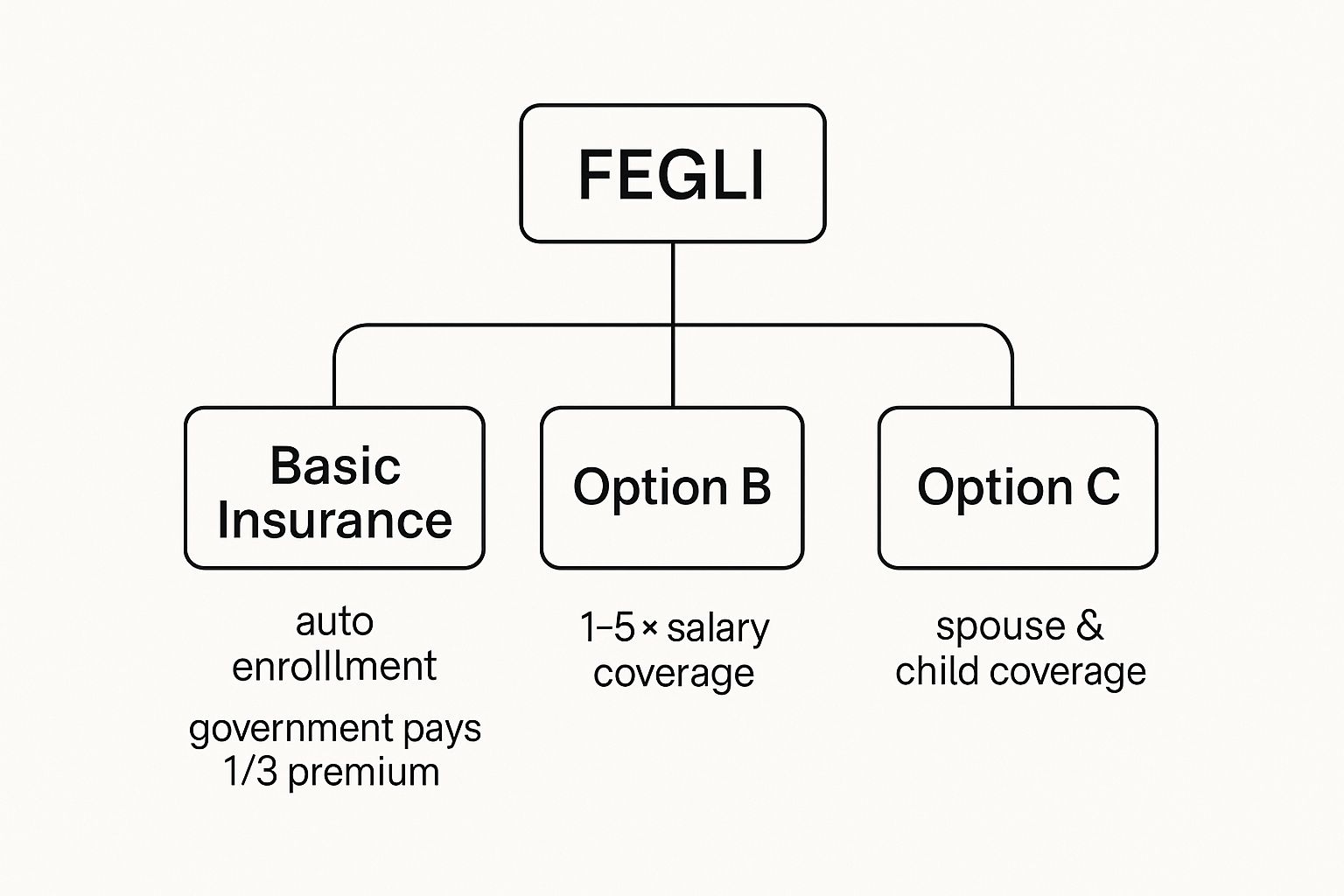 Infographic about federal employee life insurance