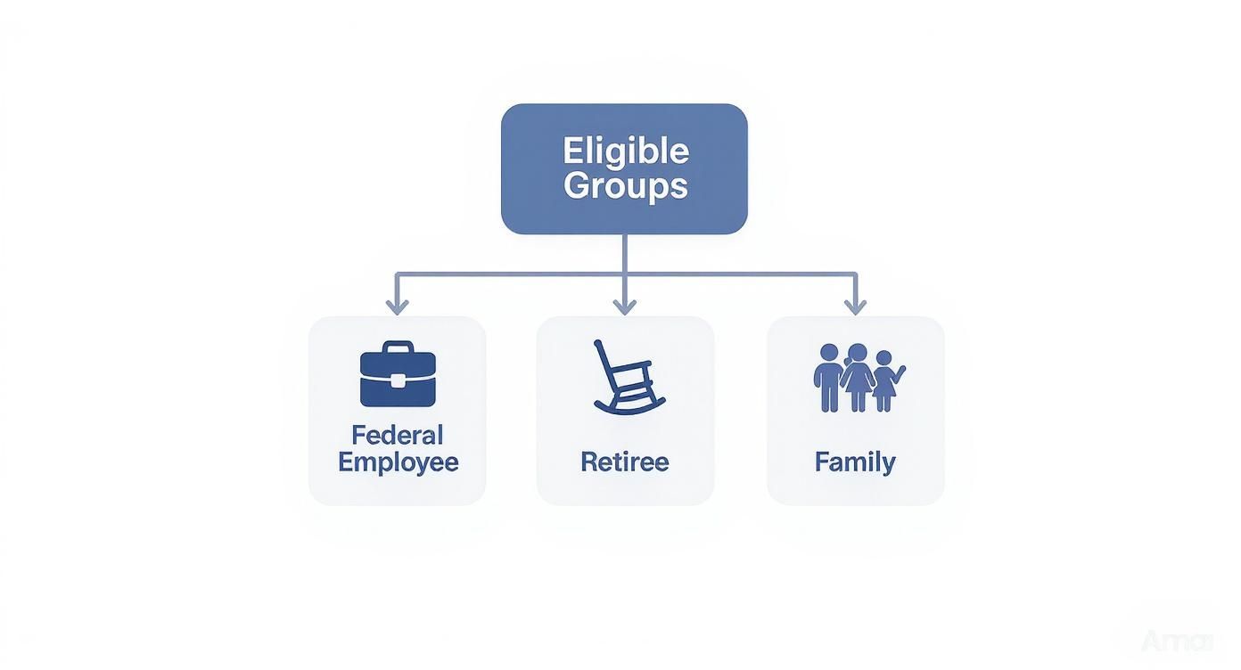 A diagram outlining eligible groups for a program, including Federal Employee, Retiree, and Family categories with icons. A diagram outlining eligible groups for a program, including Federal Employee, Retiree, and Family categories with icons.